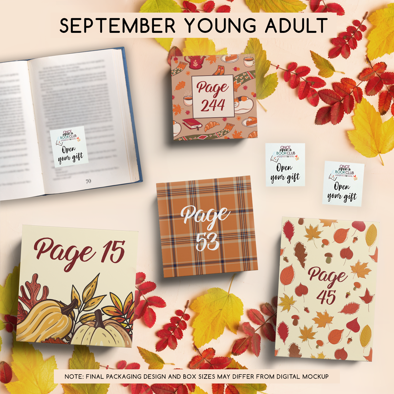 September Young Adult Once Upon a Book Club gifts are designed in aesthetic packaging colors and patterns to match the book cover/theme of the novel. Each gift is labeled with a page number, signifying when the gift is described within the story.