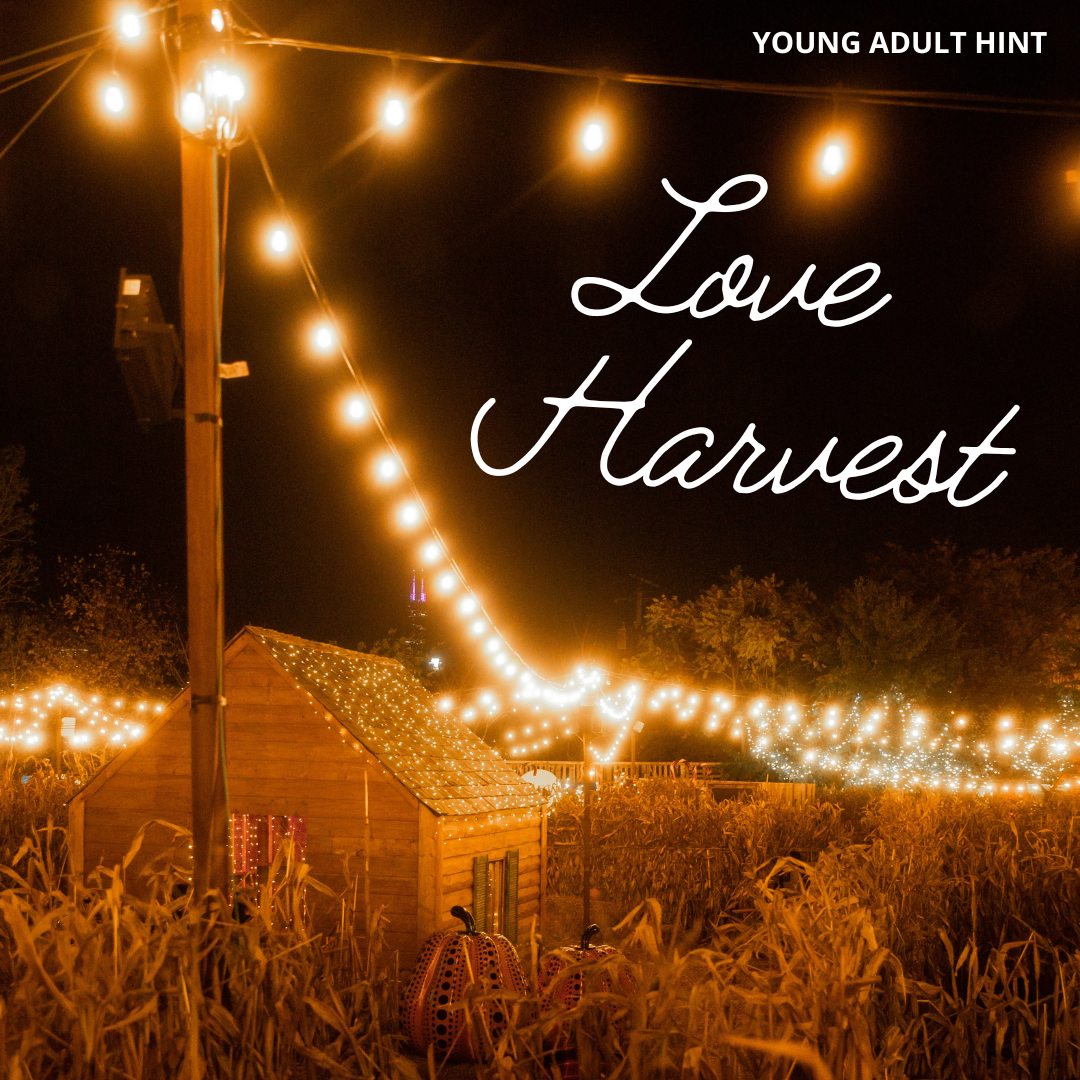 September Young Adult Hint: Image of string lights draped over a wooden cabin in a cornfield with 'Love Harvest' text.
