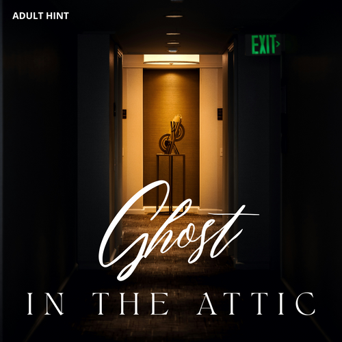 Ghost in the Attic - Full Book Box