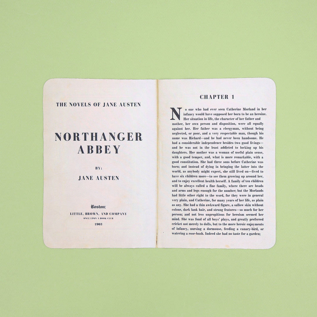 A screen cleaning cloth that is printed to look like the inside of 'Northanger Abbey' by Jane Austen and the first chapter of the book.