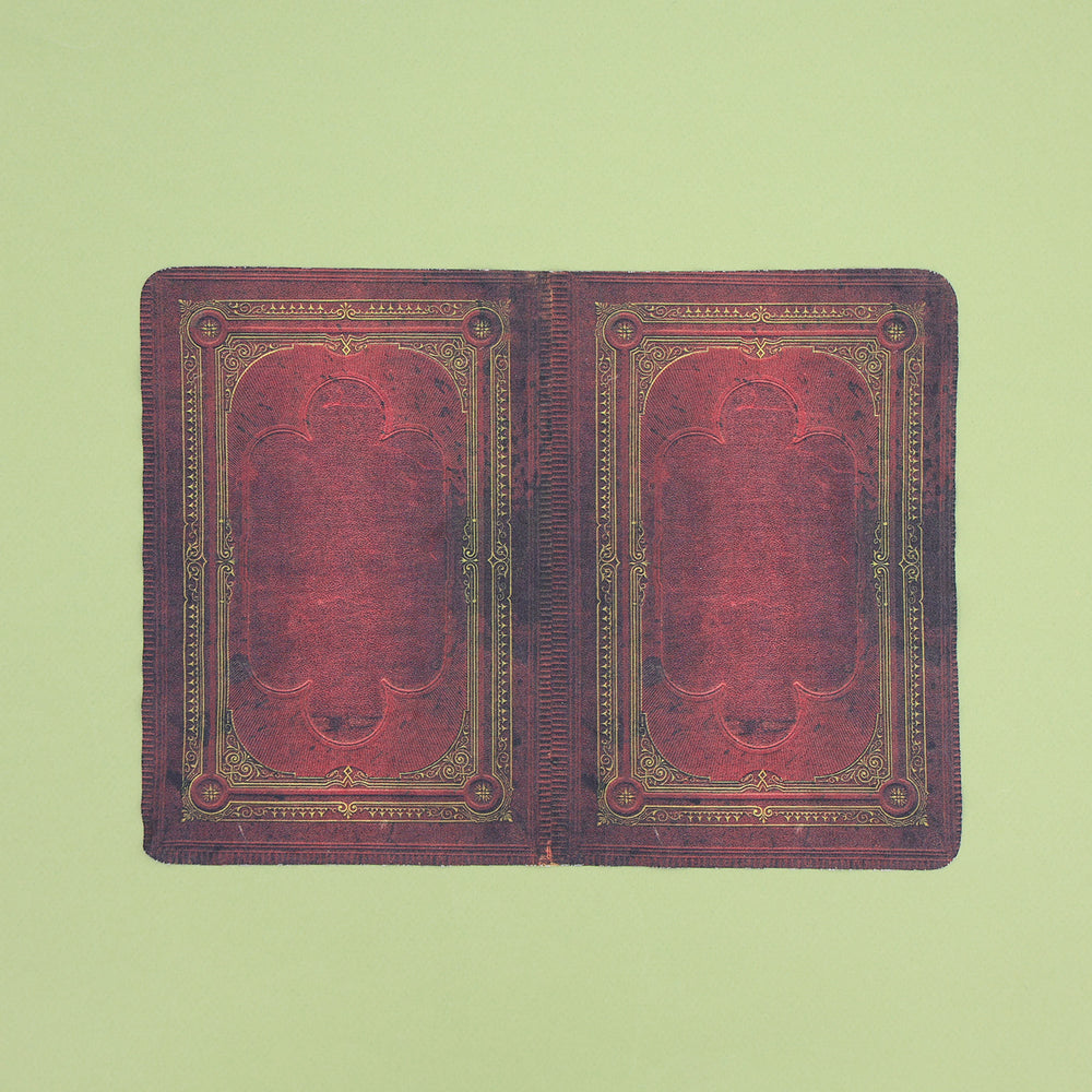 A screen cleaning cloth that is printed to look like an old book.