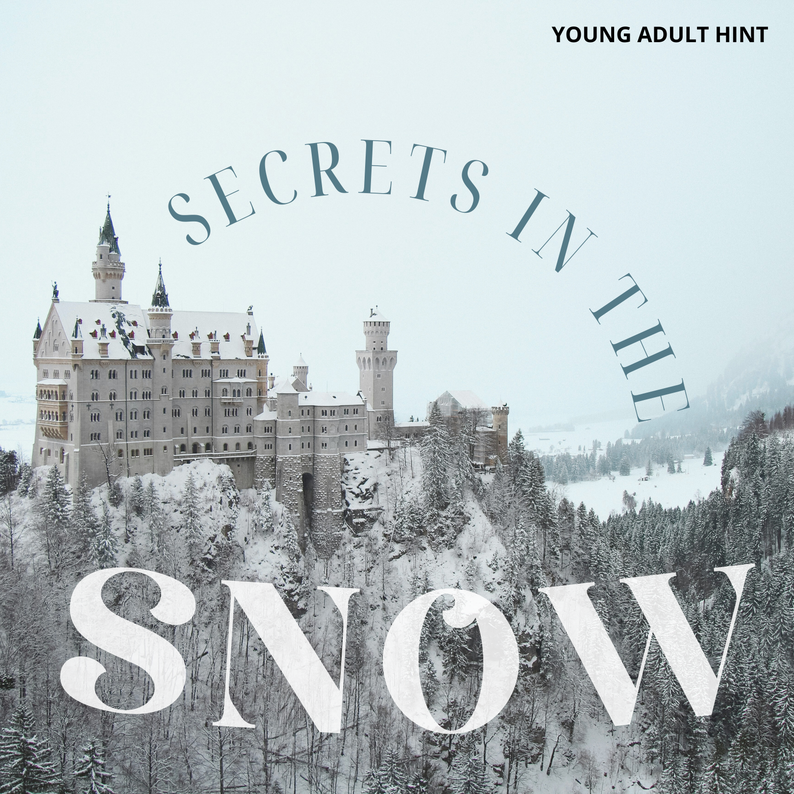 Snow-covered castle with 'Secrets in the Snow' text overlay