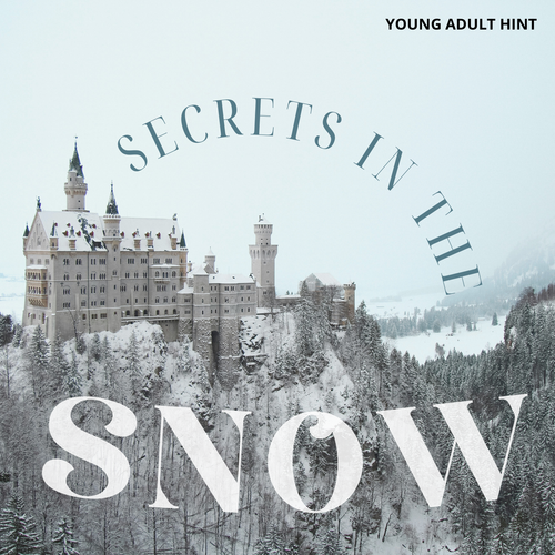 Secrets in the Snow - February 2026 One-Time Young Adult Box