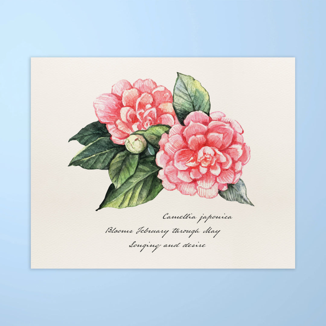 An art print featuring a pink flower with writing in script font below: Camellia japouica, blooms February through May, longing and desire