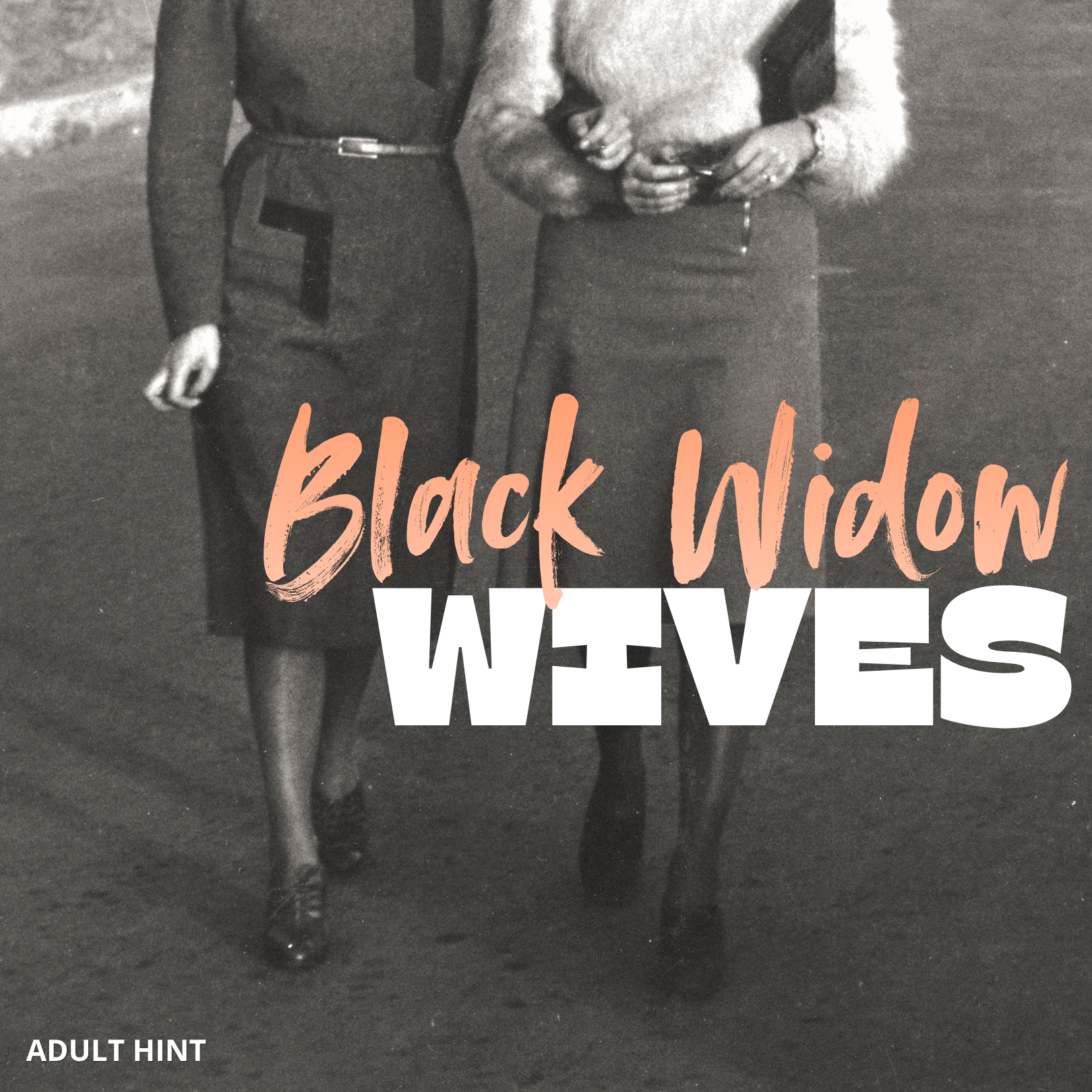 November Adult Hint image featuring a vintage-style black and white photograph shows two women walking side by side, with large overlaid text reading Black Widow Wives.
