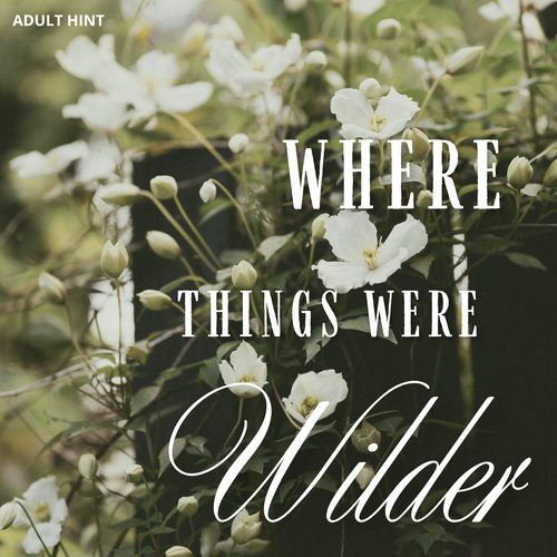 Where Things Were Wilder - November 2025 One-Time Adult Box