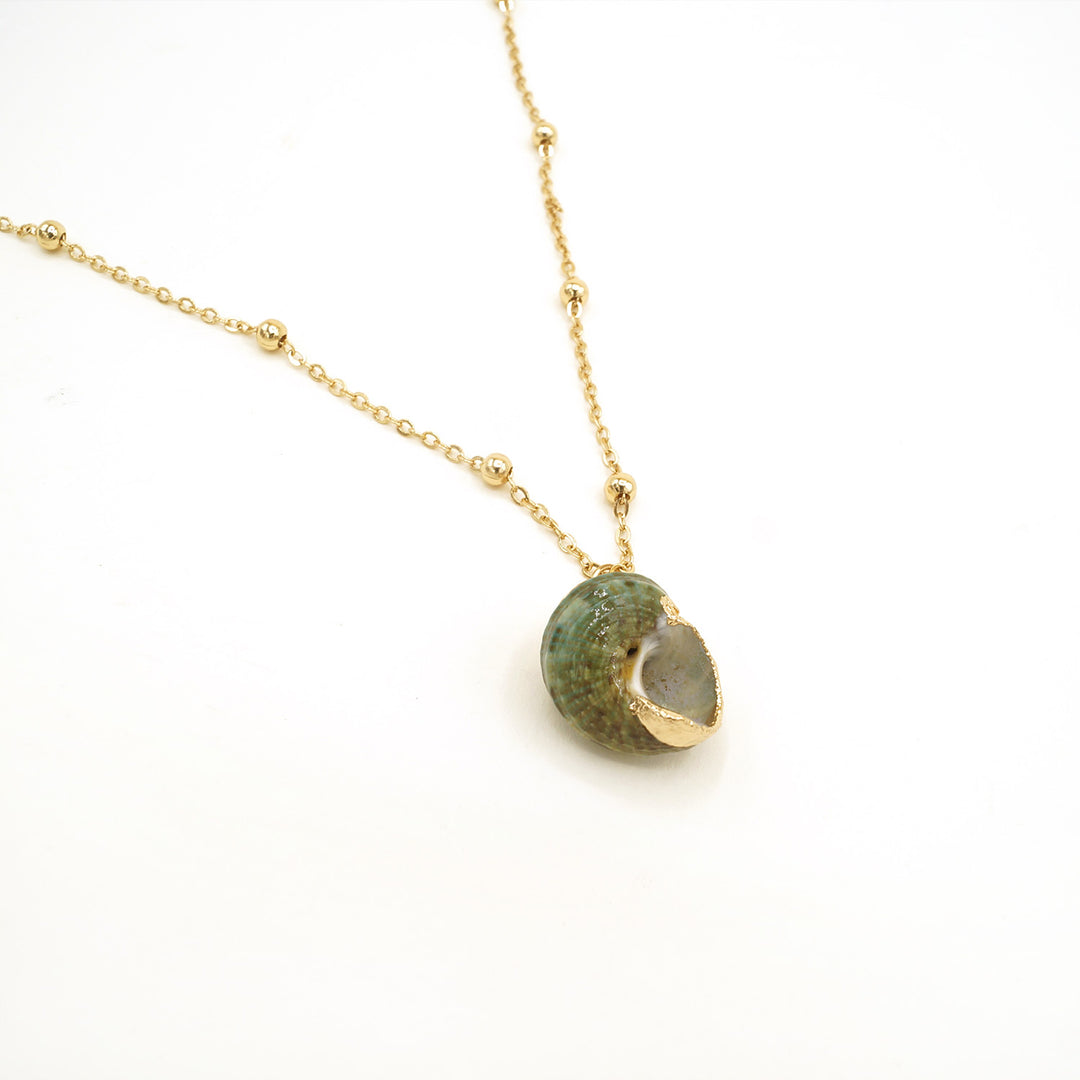 a green and gold seashell necklace with a gold chain