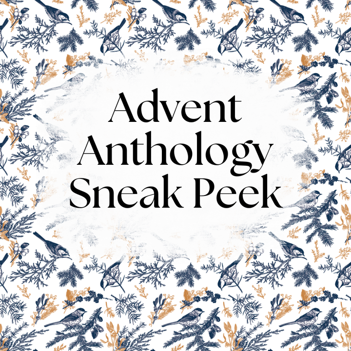 12 Days of Book-Club-Mas 2026 (PRE-ORDER)